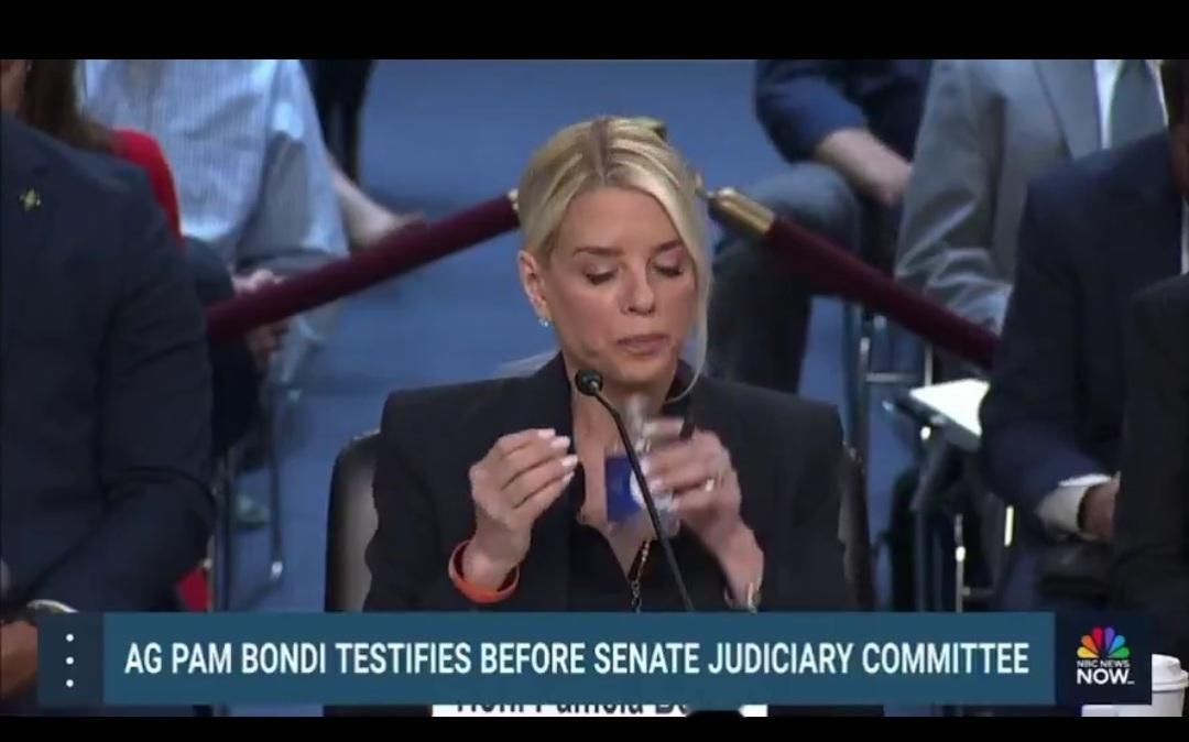 迪克·德宾（DickDurbin）刚刚在爱泼斯坦案卷问题上让潘·邦迪（美司法部