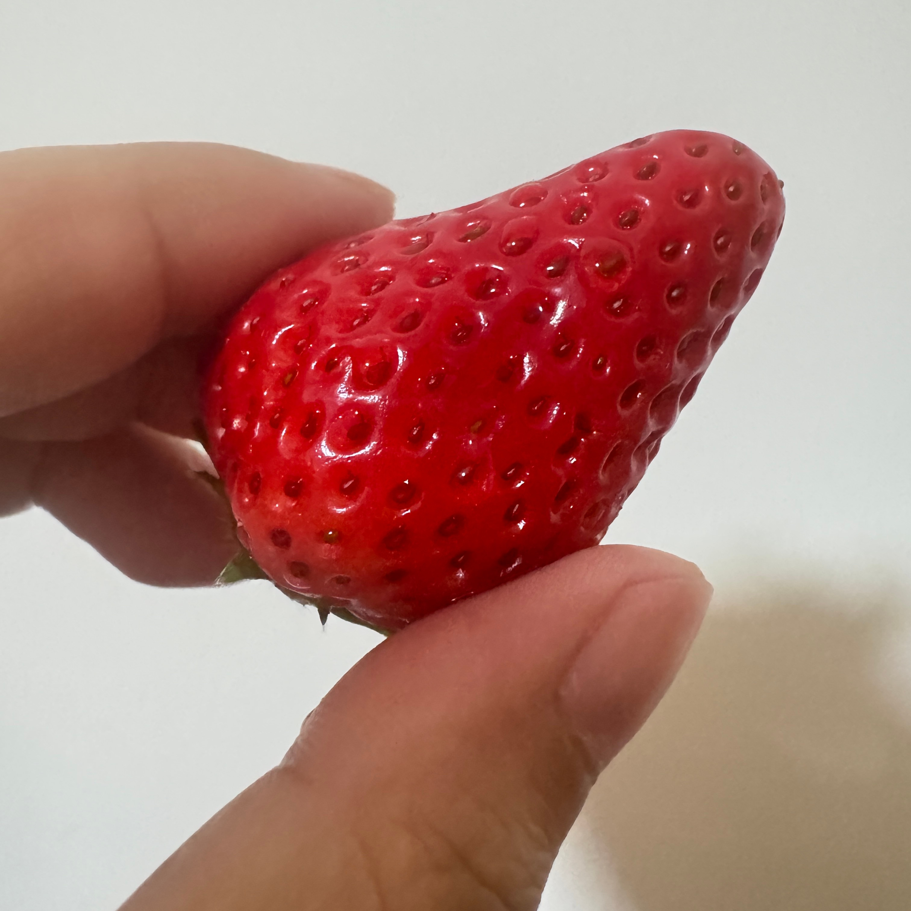 🍓草莓脑袋请举手🙋🏻♀️（虽然看着歪瓜裂枣的但是很有草莓滋味！