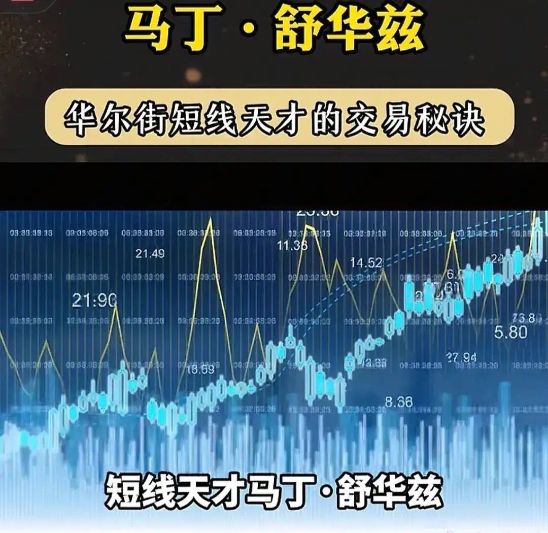 连续9次夺得全美期货冠军：华尔街天才期货交易员马丁.舒华兹：最后一句话让你少亏百