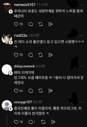 韩国热帖：韩国人嫌夏天知了吵，喊话中国人去韩国抓知了吃……