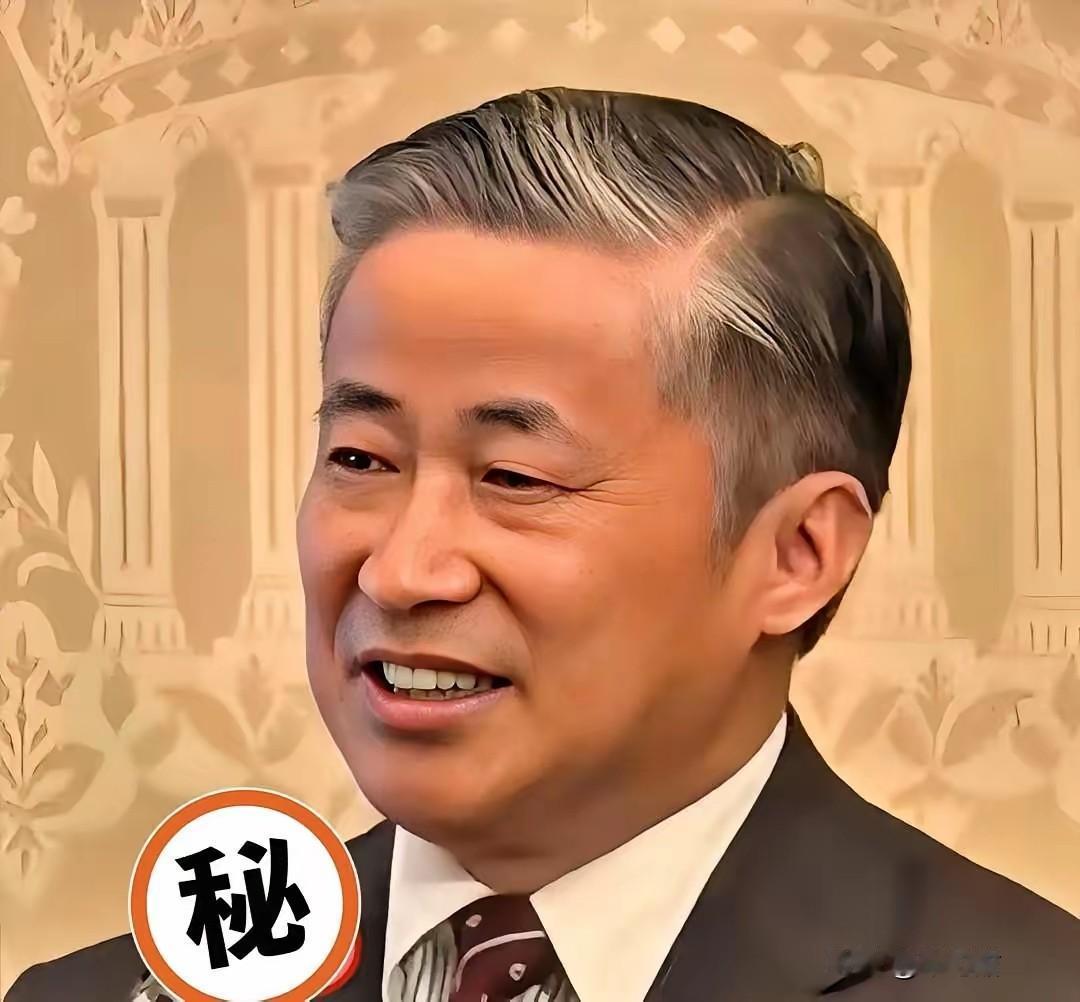 快讯！快讯！​​日本外务省突然宣布了。​​据多家报道，日方向驻大阪总领事薛剑