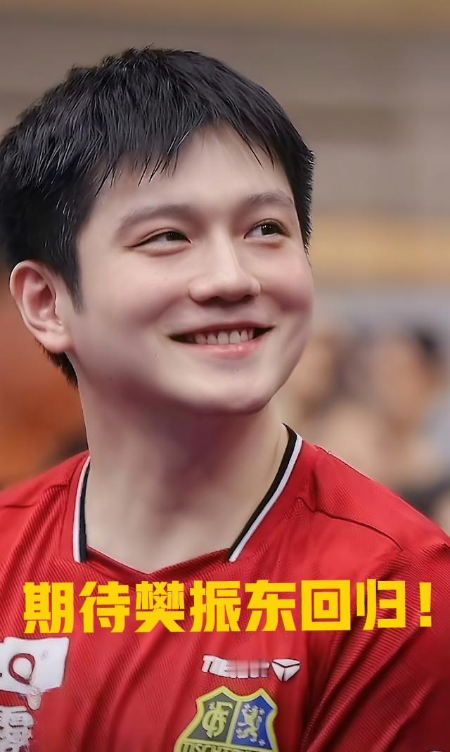 七大原因樊振东肯定会回归，再拿一个奥运会混团冠军和奥运会男双冠军才圆满