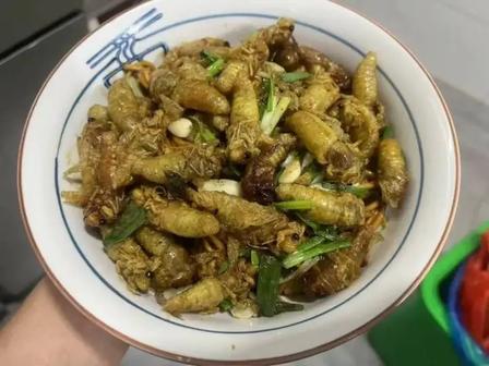 15只“嘎嘣脆”下肚，全身像被针扎！医生：这类人吃知了真要命浙江温州永嘉的李