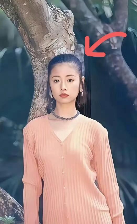 比起嫁给霍建华，林心如身上最让同龄人眼红的，其实是她那张几十年没崩过的原生发际线。现在多少女明星都在