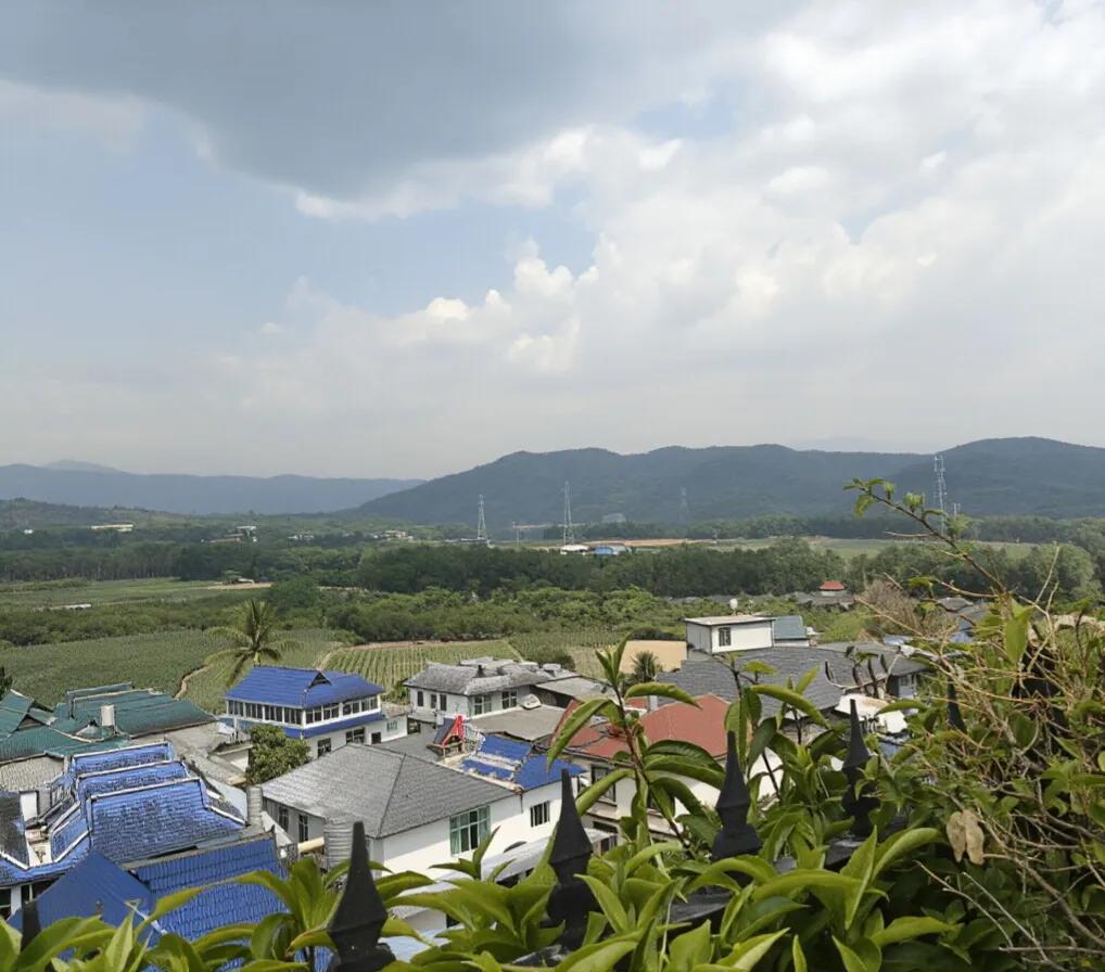 前几天从阳台看到对面楼一户人家，过廊用纱网封的挺好的，我就过去上人家门口看。房门