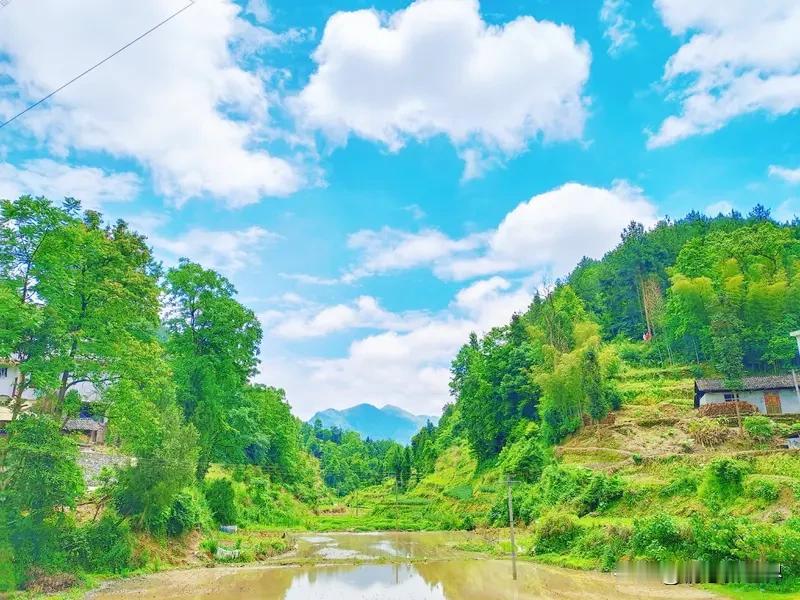 我必须得晒一晒我路上拍到的最美风景。有次自驾去川西，在盘山公路上行驶时，突然眼前