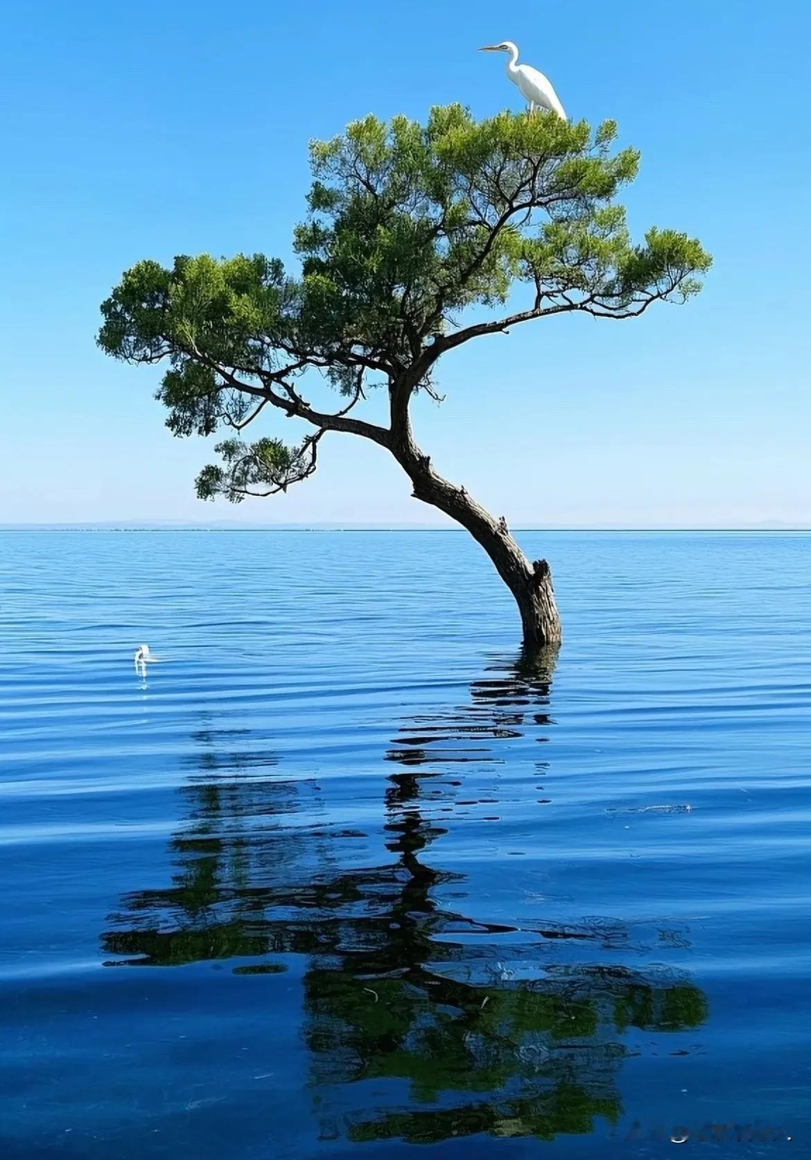 人到晚年，钱和子女到底哪个重要？这个问题是一个非常好的问题，也是大众关心的问
