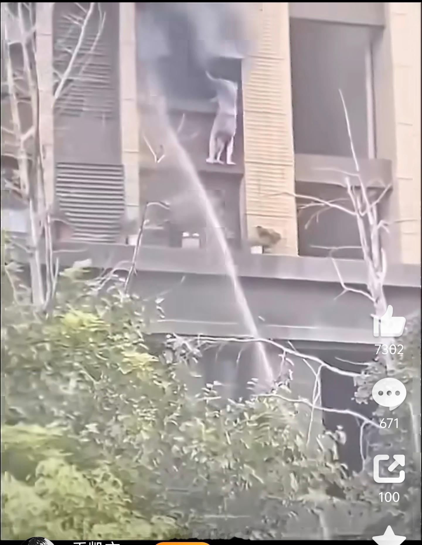 连云港火灾丈夫大喊不要喷水为什么不想办法破灭或用云梯先救下这母女？这种外面冲水