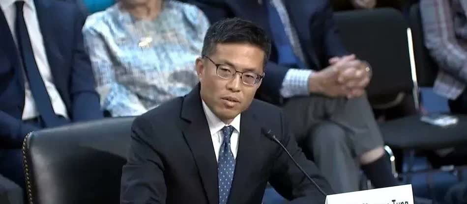 目前在美国从政的议员以及法官，多是支持民主党的左派。尤其是洛杉矶和纽约的华裔议员