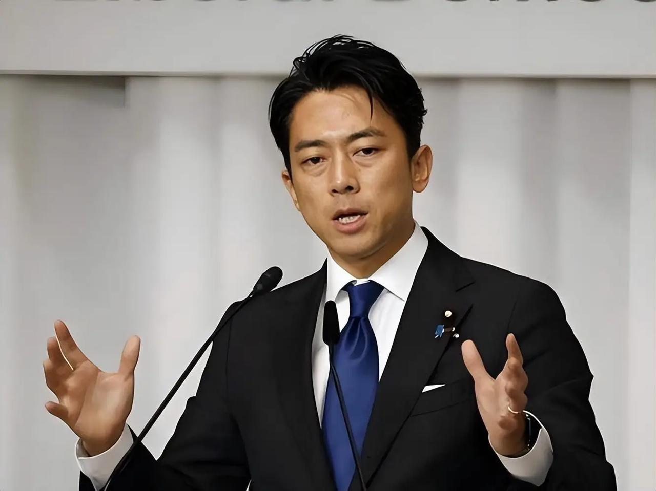 8月15日，日本防卫大臣小泉进次郎在日本战败日参拜靖国神社。 由于小泉进次郎