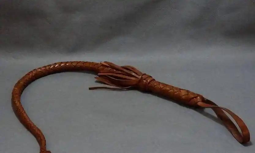 马鞭被称成吉思汗之物，女子拿去鉴宝要价500万，专家：价值3000鉴宝现场的灯