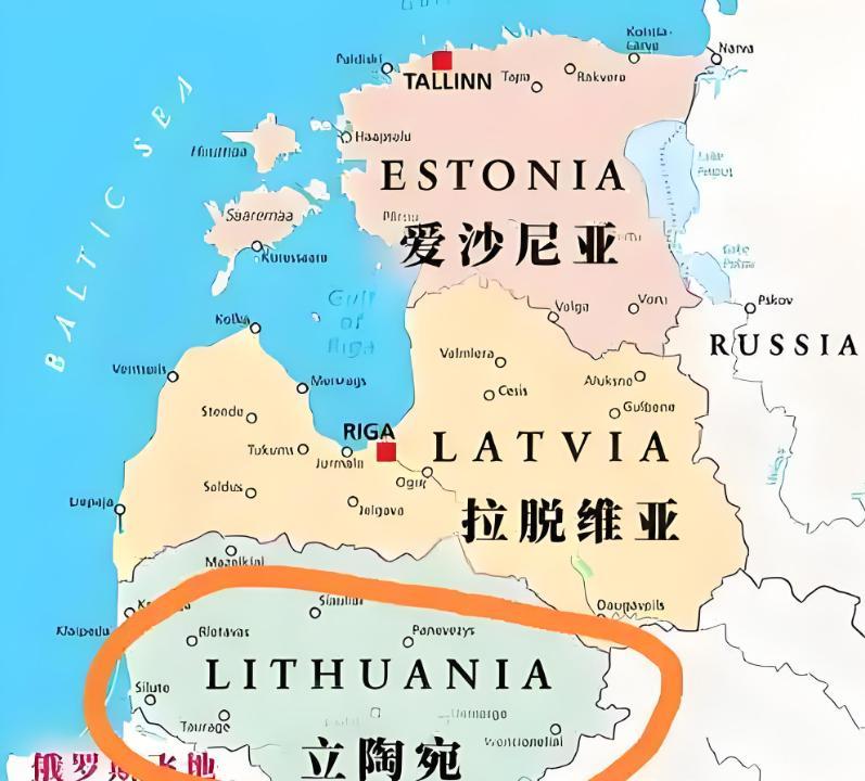 自取灭亡的立陶宛总统瑙塞达，这次中国没有迁就他！从今年5月中旬起，立陶宛境内看不