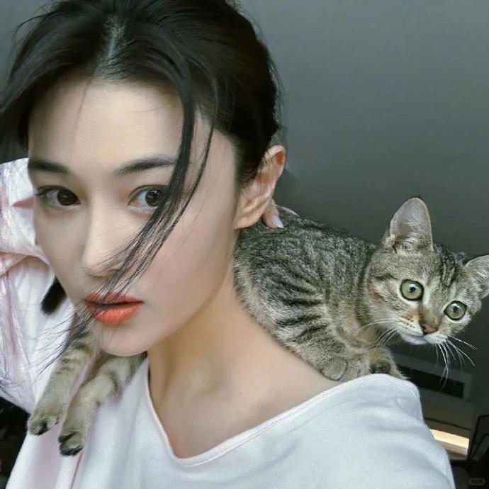 张馨予