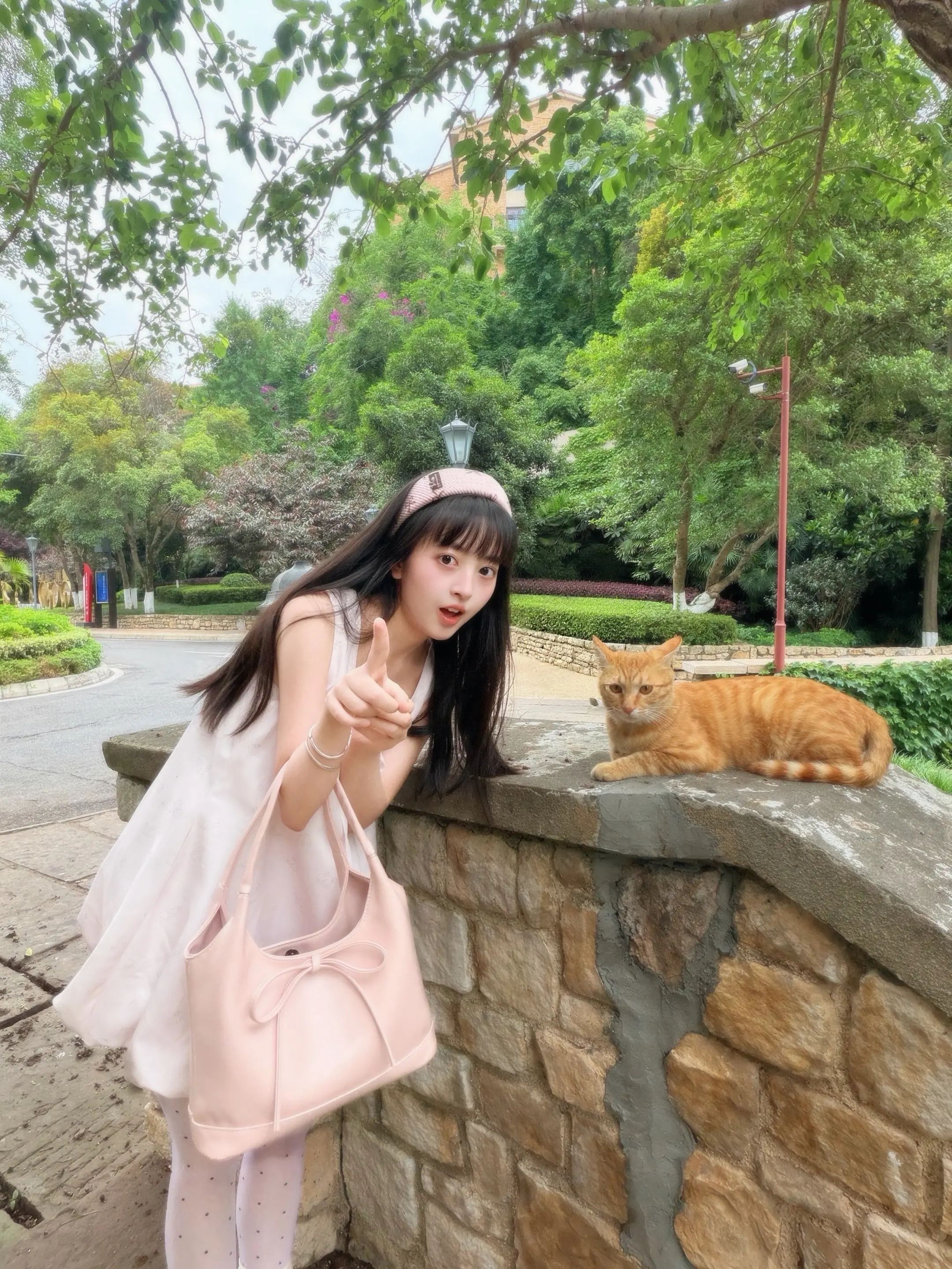 靠近点...再近点...喵呜•̀∀•́ฅ。    🎀