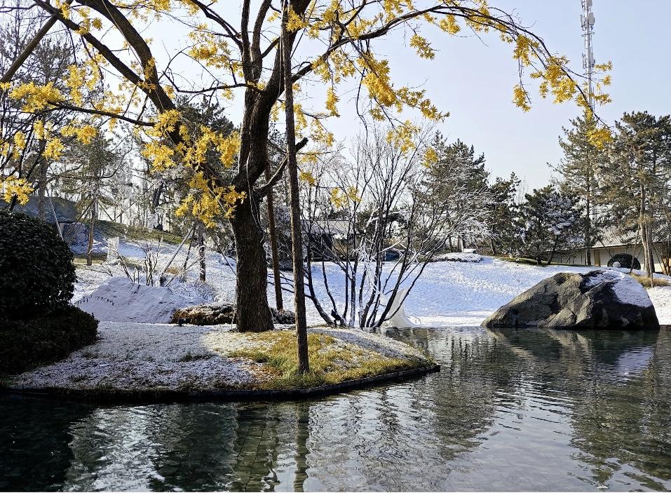 2026年给买房人建议：坚守“五个不碰”的铁律，保你不亏！2026年北京楼市