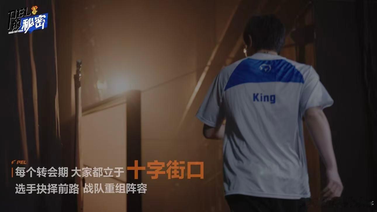 PEL的秘密以群像赴PEL盛夏新内容上线啦！《PEL的秘密》转会期篇来了，跟着T