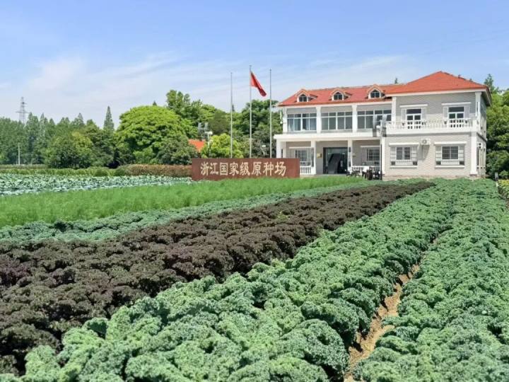 AI育种、2米长丝瓜、巨型南瓜每天增重10斤、水果蔬菜…浙江瓜菜新品种大会颠覆你对吃的认知