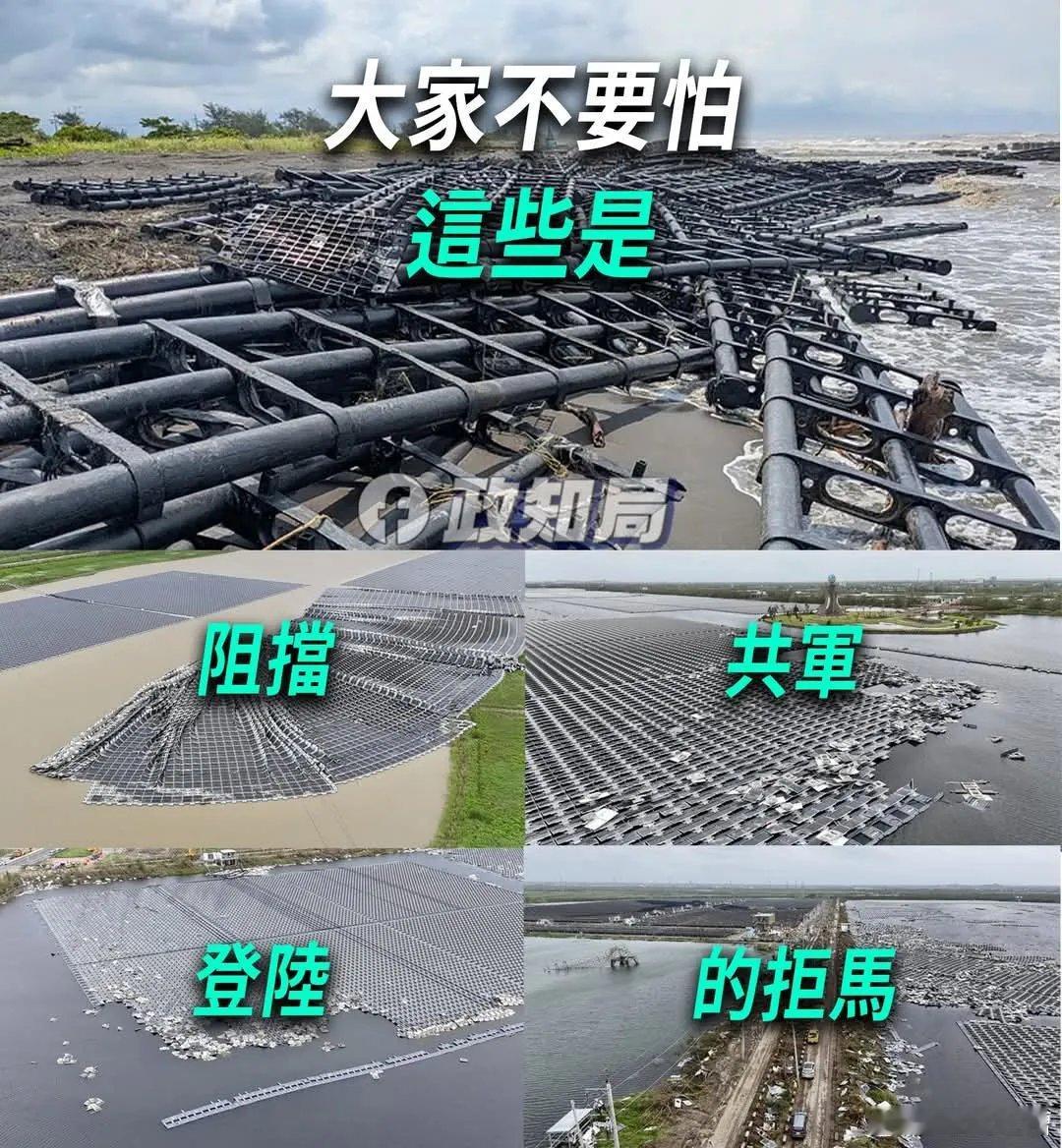 笑死了，弯弯被台风吹烂的海上光伏板居然还有这作用？弯弯又赢一次，赢麻了，永远在赢