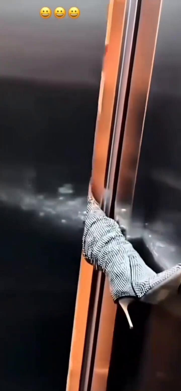 狗，有人。