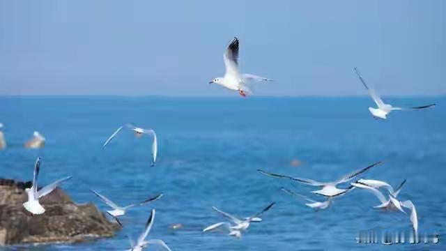 一位老情人的坦言，99%的情人，都毁在这四个“字”上，知道吗？这句话表达了一个