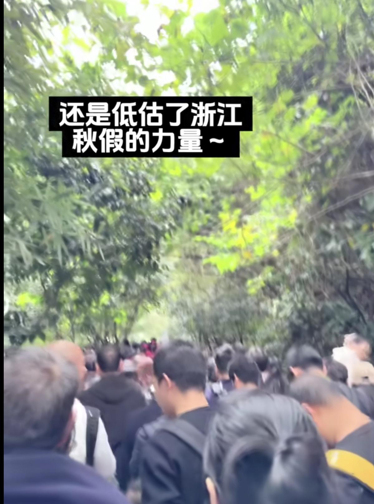 现在不少景区，都被浙江秋假大军占领了。浙江各城市的学生放秋假，家长们也忙着请假，