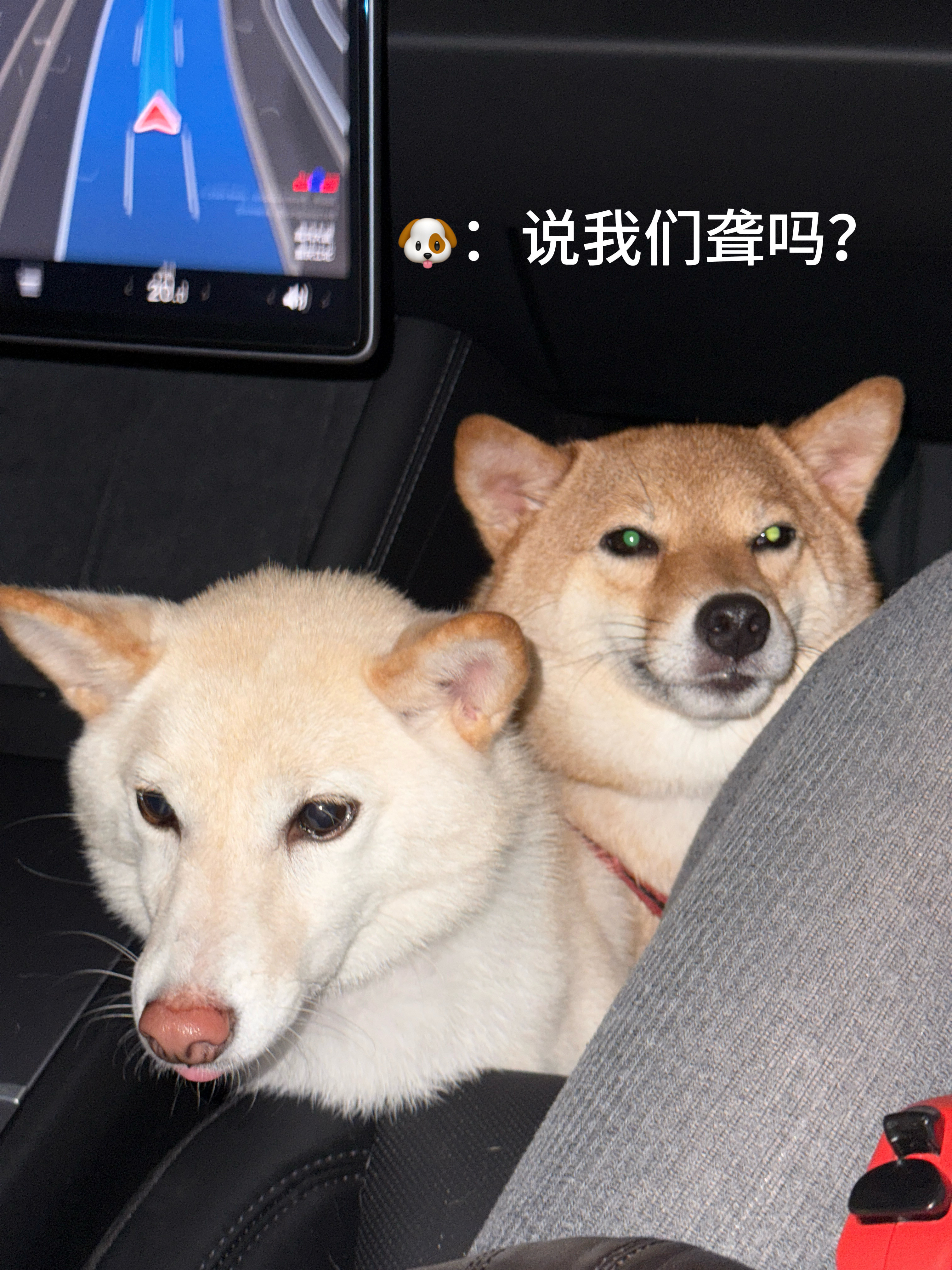 现在的外卖真的不看备注的，也不敲门经常收到都冷了，关键是还说我的狗耳聋从来没给过