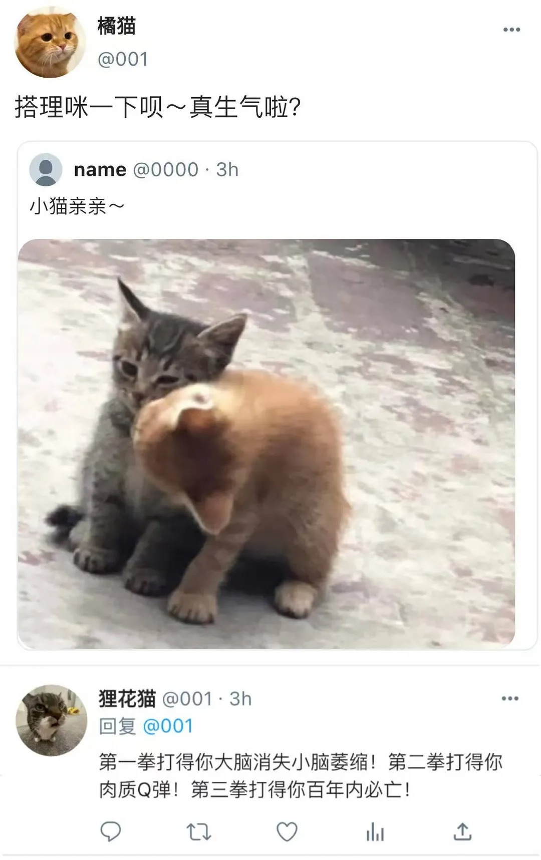 今日memes梗搞笑幽默假如小猫会上网belike: