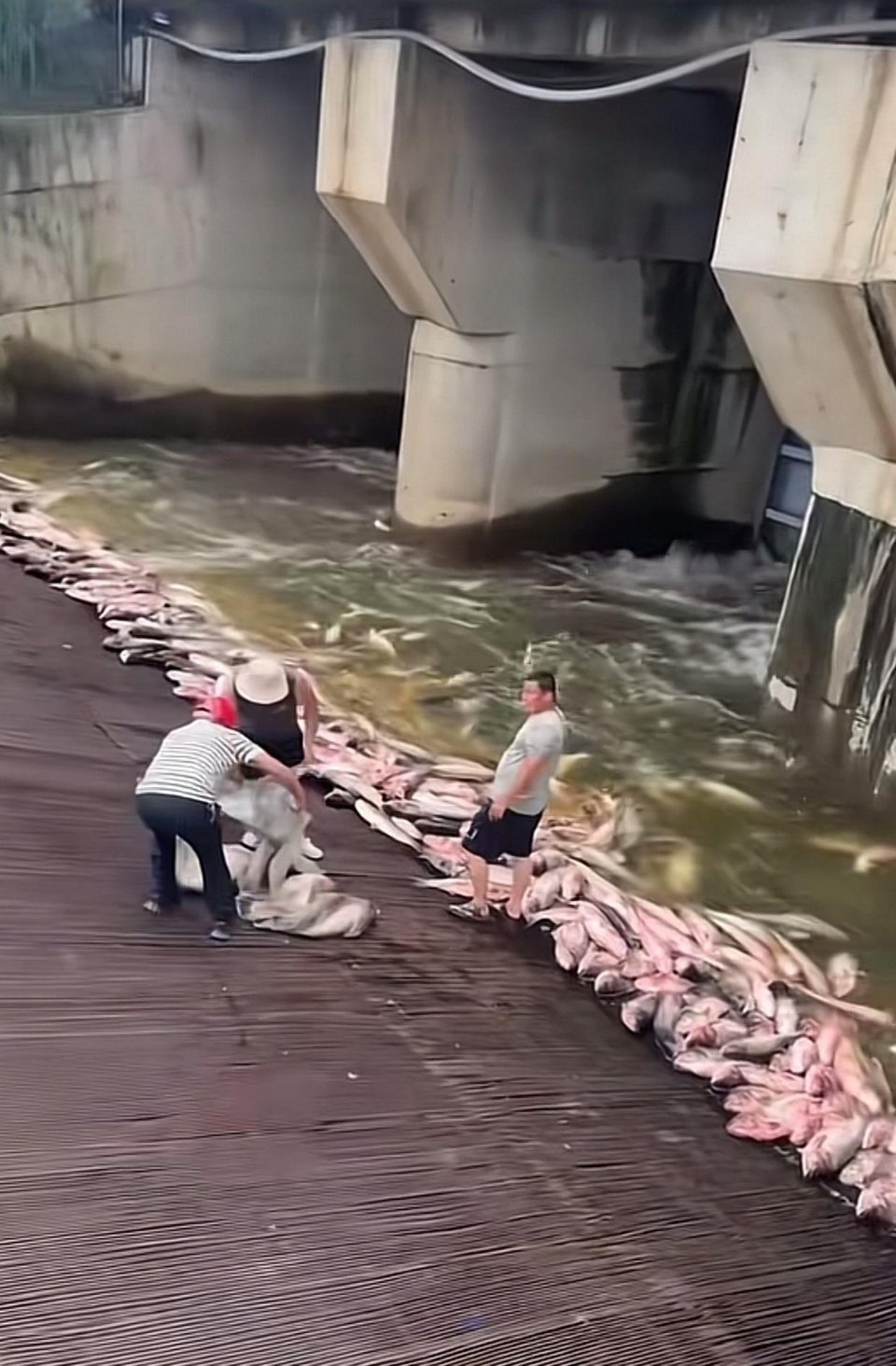 做梦都不敢这么做啊