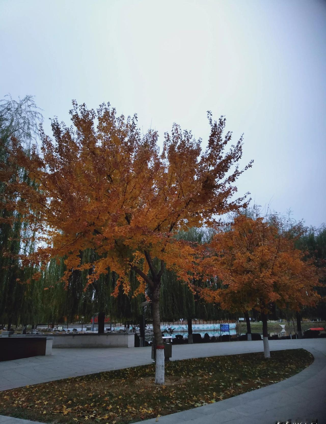 冬天来了，暖气费照收，人却搬走了。隔壁老张家儿子结婚搬走，屋子空着，暖气还开