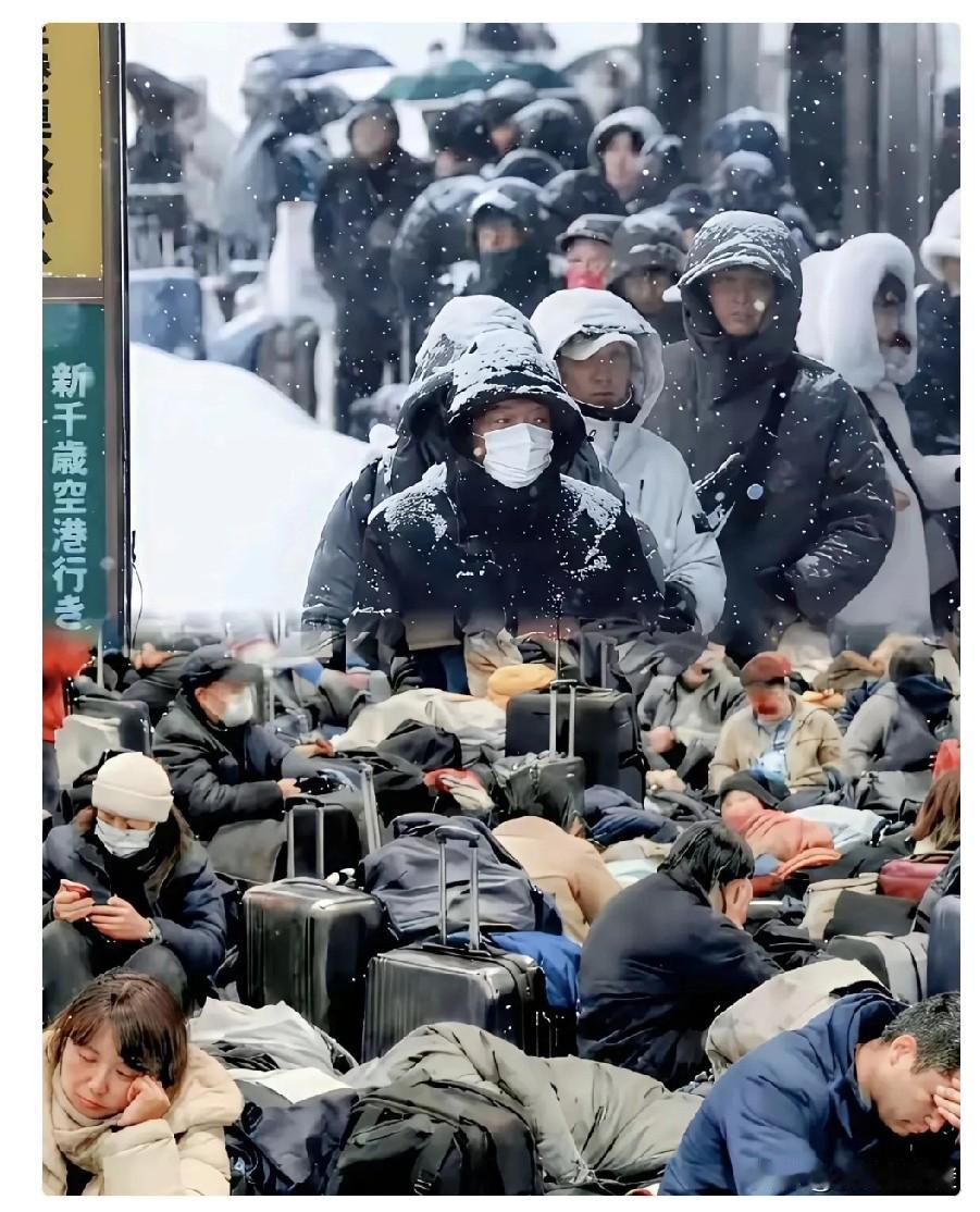 北海道机场地板上躺的那些人，看着是可怜。可他们出发前，文旅部的预警发