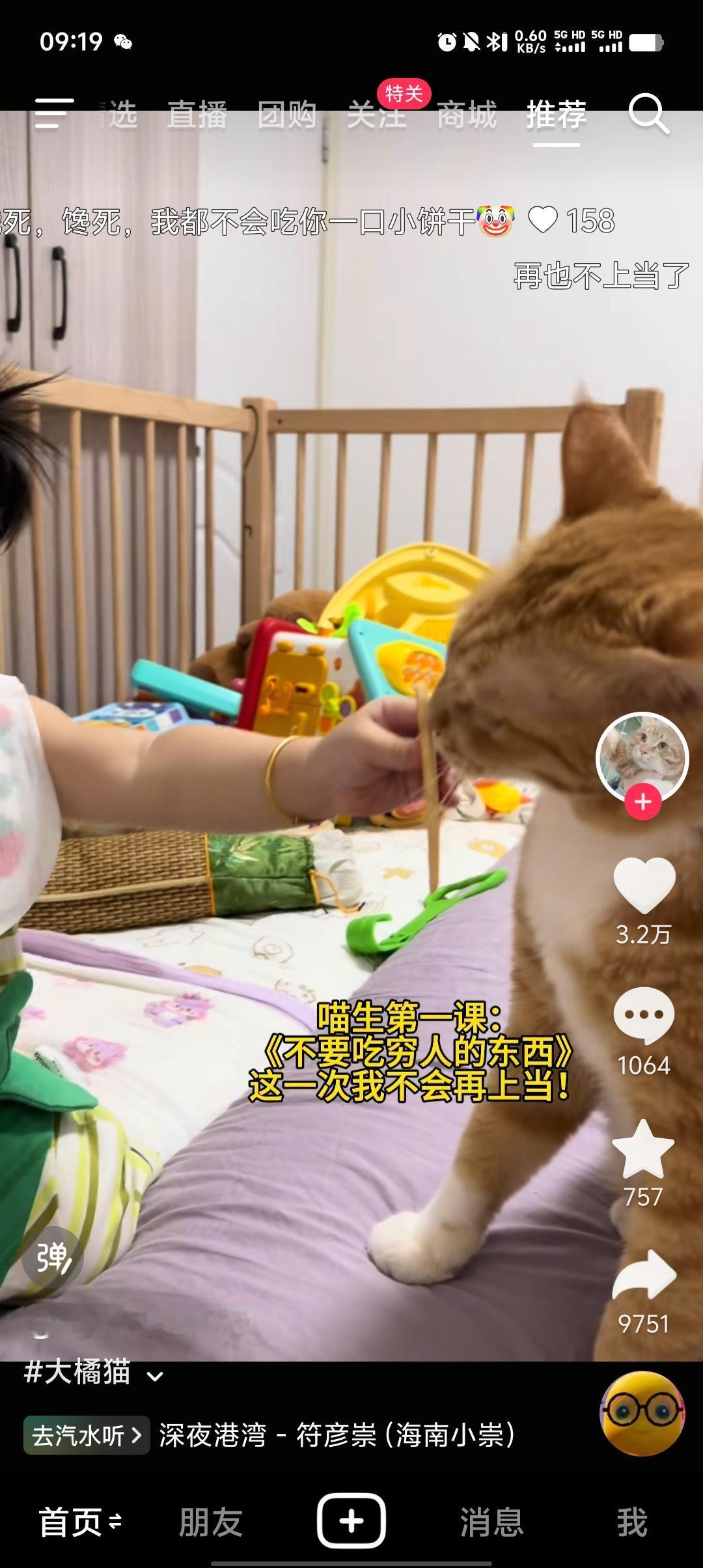 喵生第一课不要吃穷人的东西