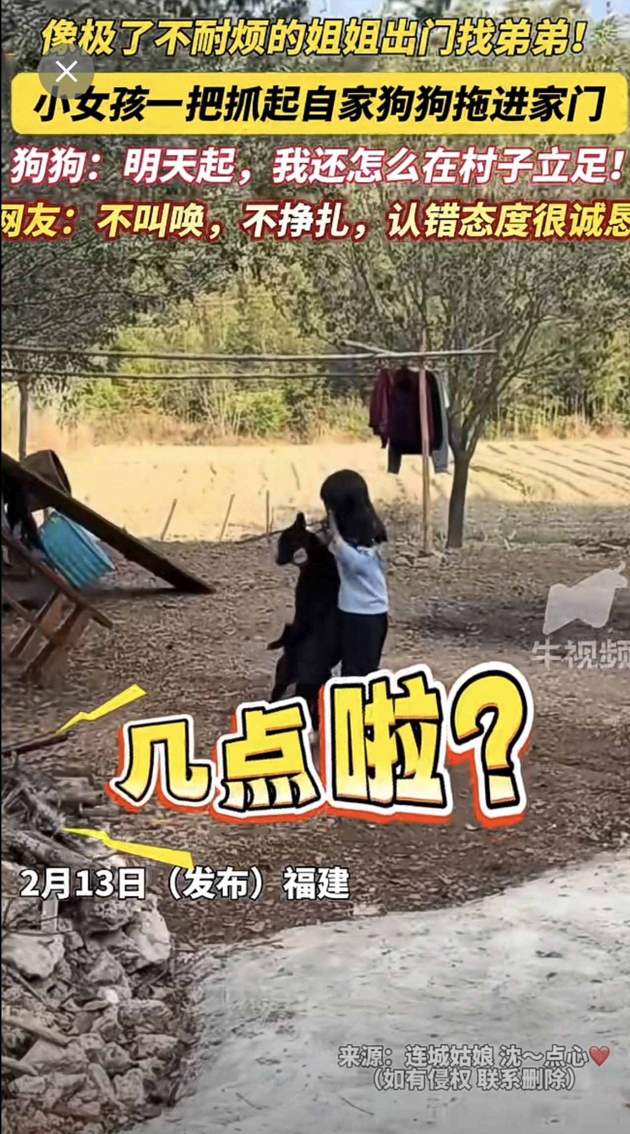 像极了不耐烦的姐姐出门找弟弟！小女孩一把抓起自家狗狗拖进家门，狗狗：明天起，我