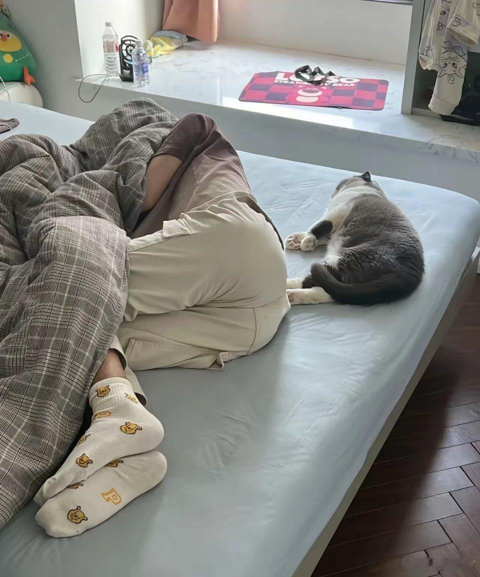 猫随主人一进门就看到了这一幕一模一样的姿势​​​