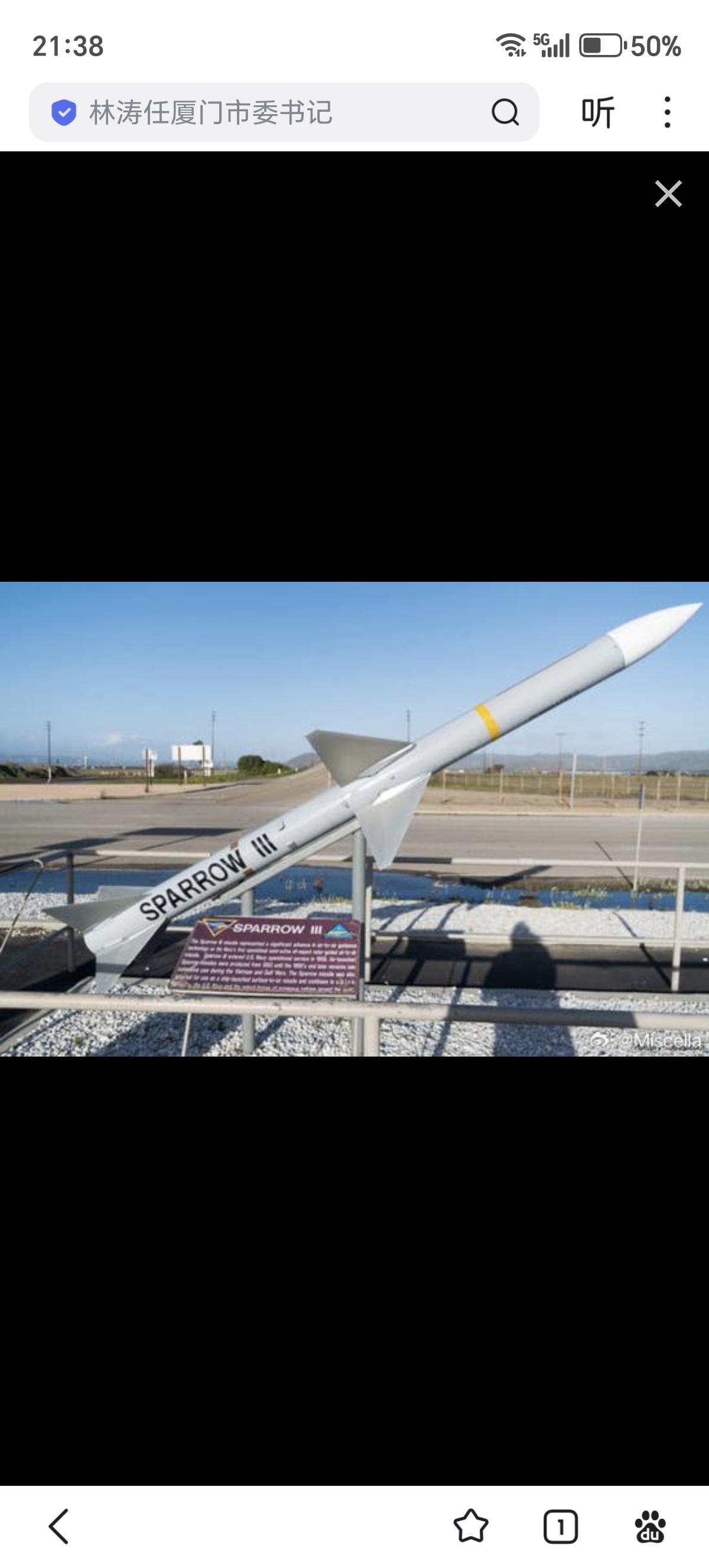 其实有一种威胁较大的简易近程防空导弹系统。它用红外瞄准具控制安装在万向架上的简易