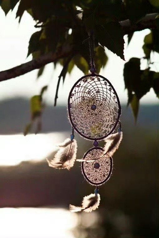 语言，是感受的源泉。被别人的语言引导而产生的感受，与被自己的语言所引导而产生的感