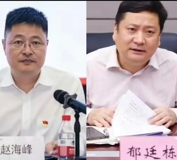 双双被免职刑拘可这事远没完这其实只是很多高管和公职人员生活的一部分，他们啥人