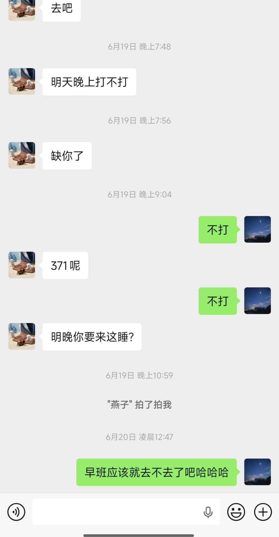 所有人感受不喝不打
