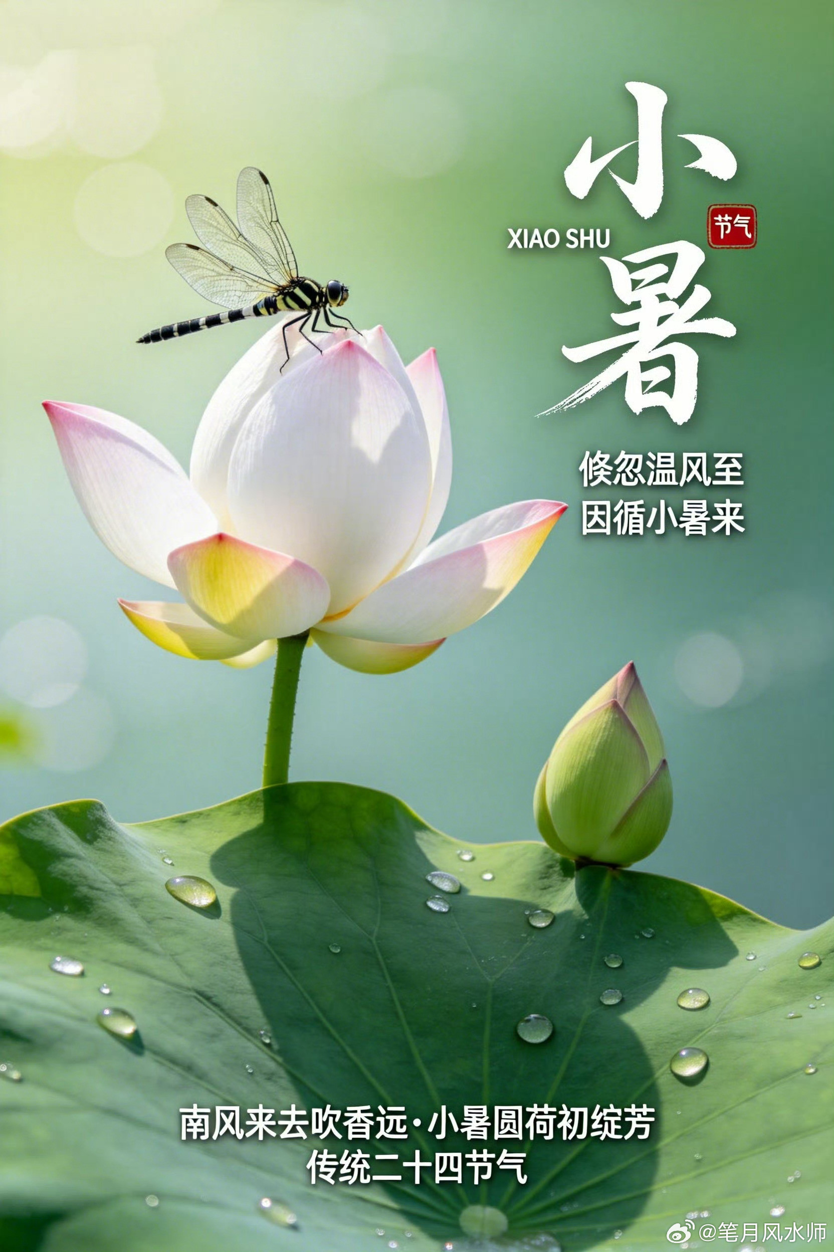 今日小暑，二十四节气中的第十一个节气。北京时间7月7日04时04分59秒正式步入