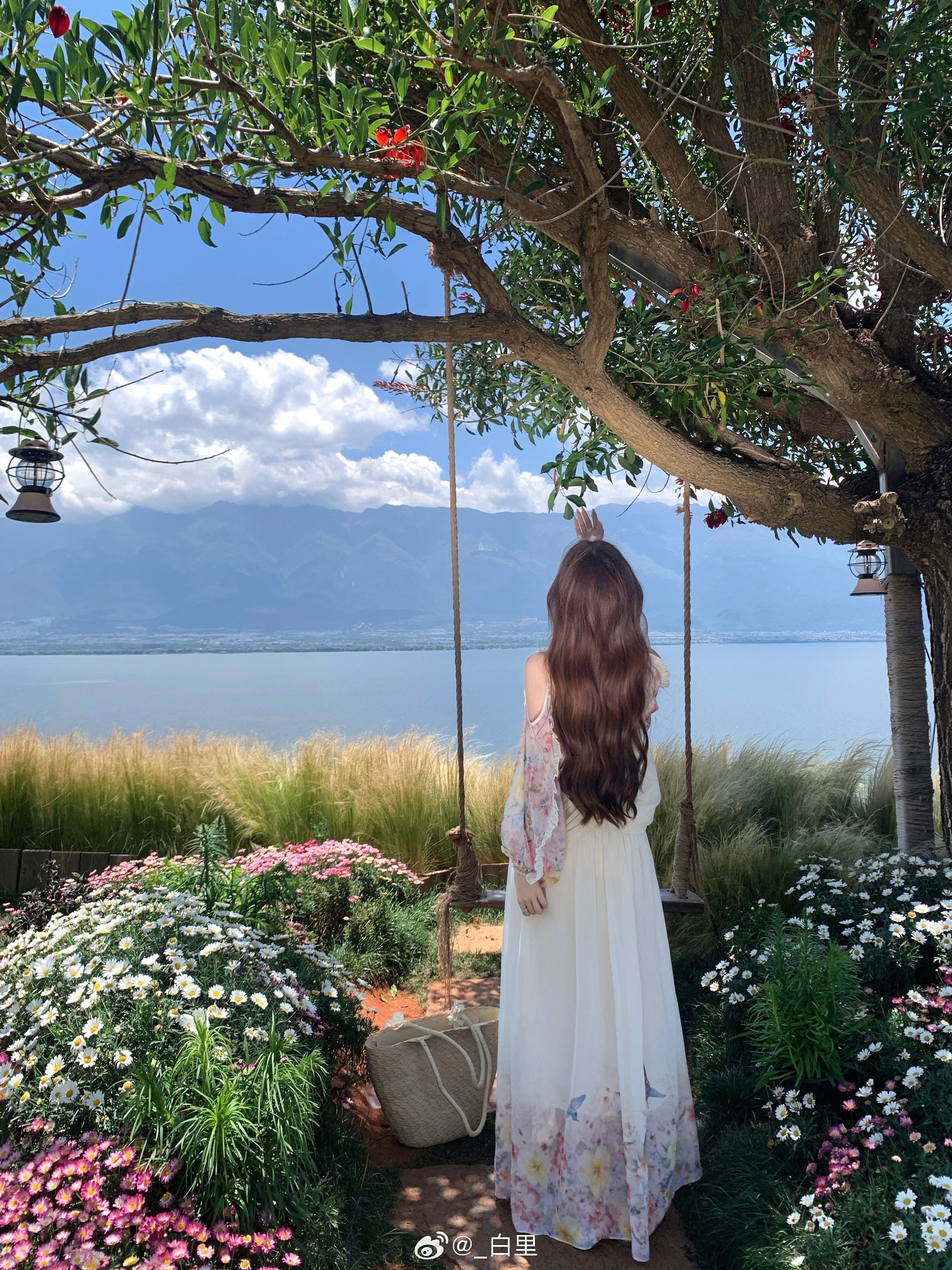 繁花作伴，清风为序💐大理·扶光里咖啡旅拍