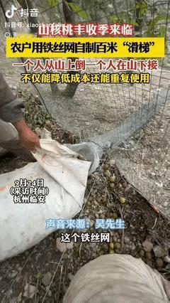 杭州一哥们儿家山核桃熟了，愁坏了——一袋六七十斤，扛下山得二十多分钟，用无人机又