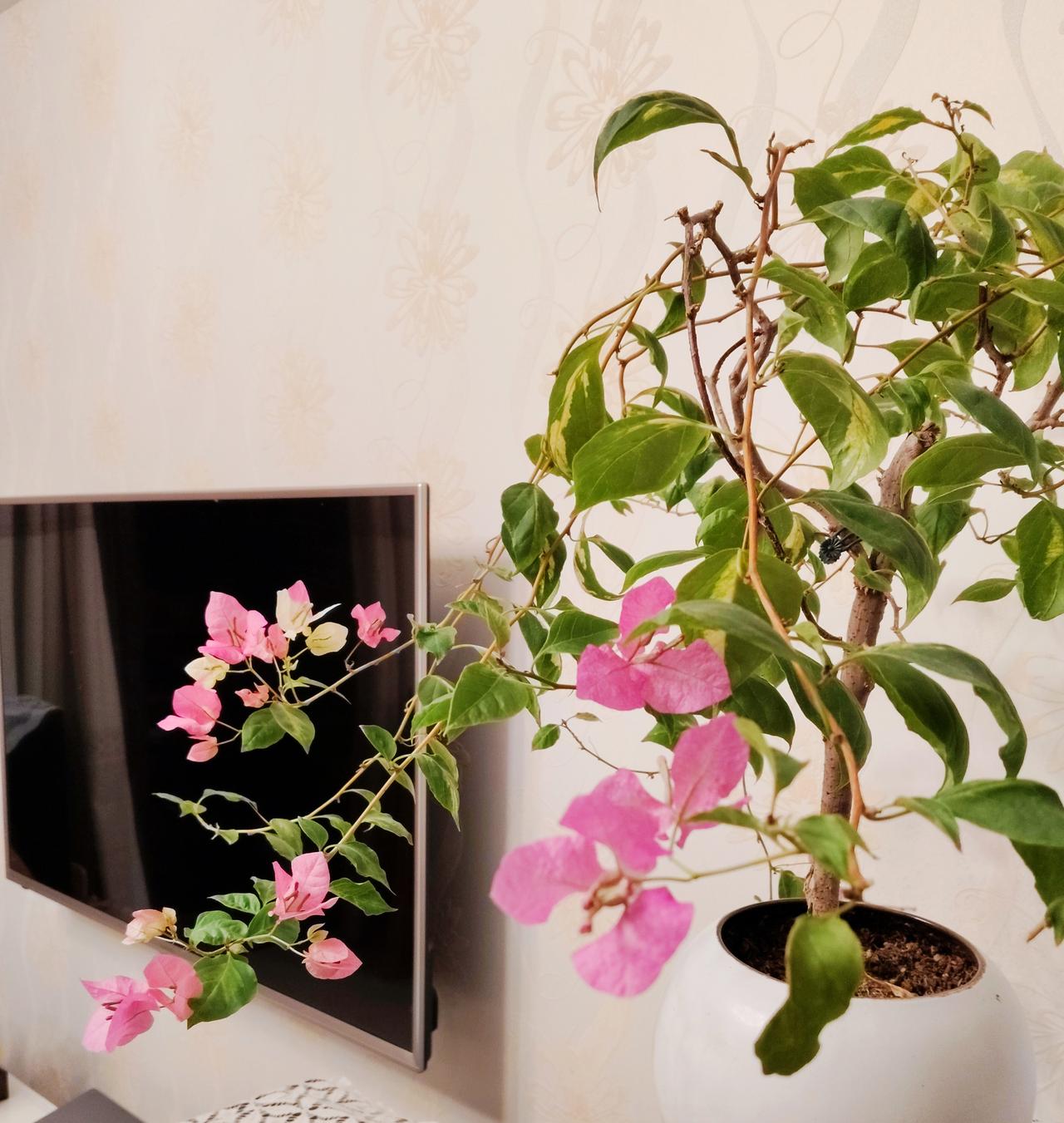 【爆款标题】别再焦虑了！从今天开始，轻松改变人生的三个超级实用技巧嘿，兄弟姐