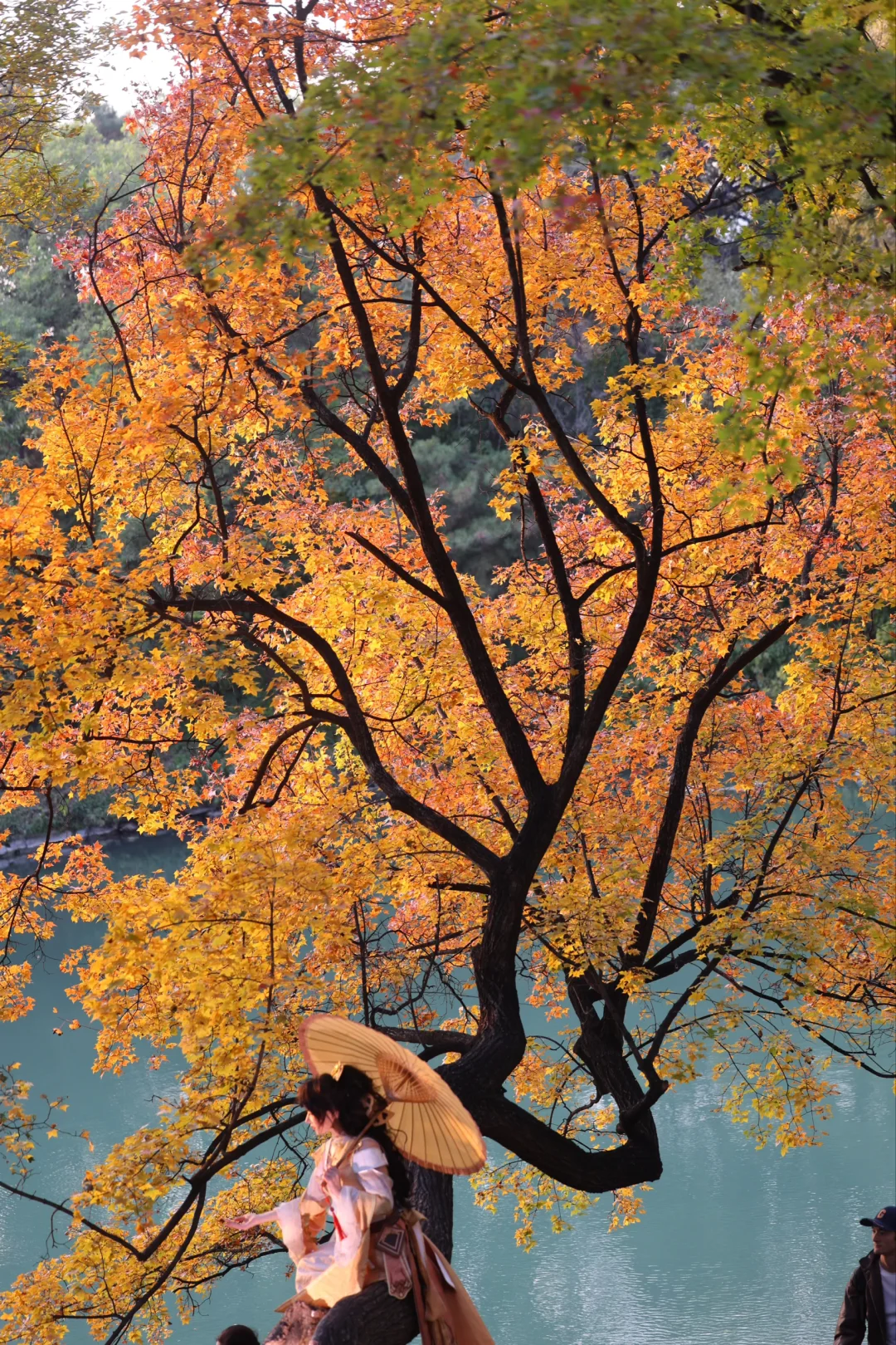 11.3颐和园实况，后湖及谐趣园已上色