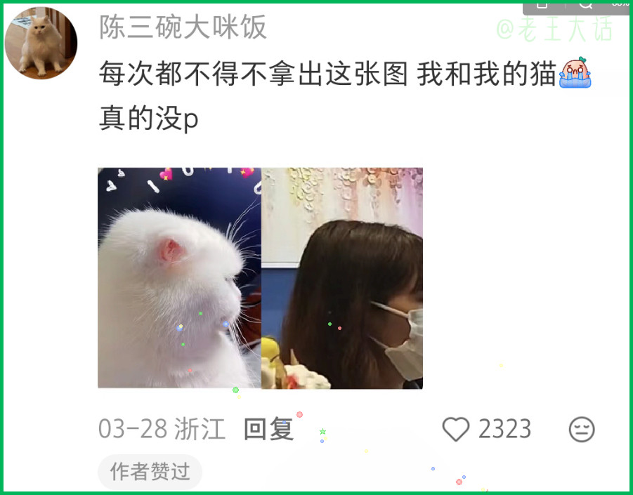 看的还挺可爱的很有辨识度，但是就显得不是那么的机灵呢