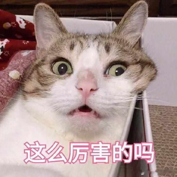 土豆真是食物界最权威的存在不爱吃蔬菜的人基本都逃不开土豆，口感软糯还自带清甜，
