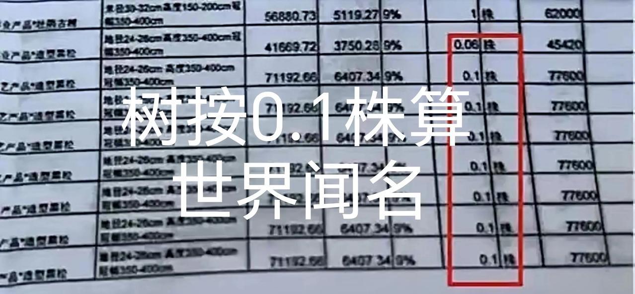 树按照0.1株算价格，世界闻名！福州烟台山公园风景区“77.6万一棵天价树”事