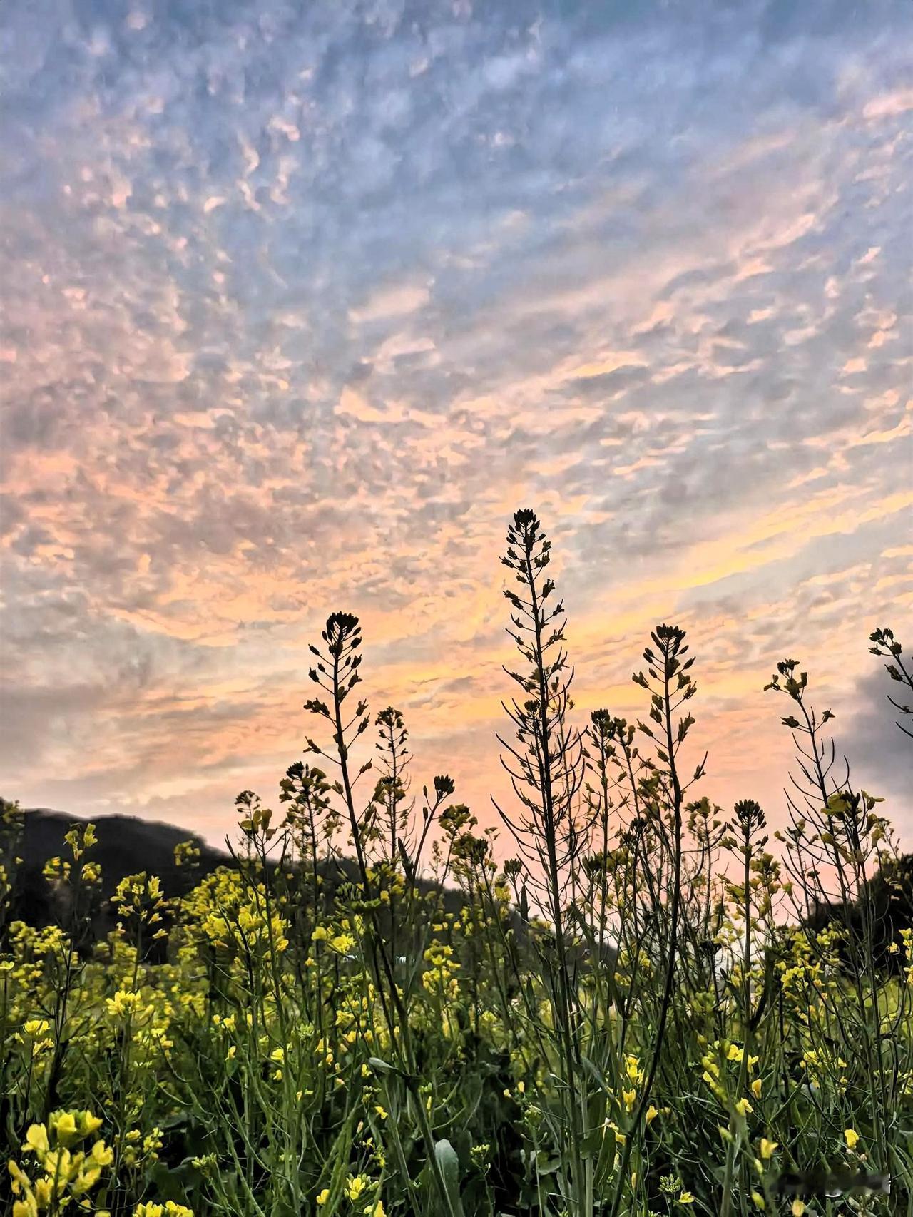 人过六十，别跟自己较劲。人过六十，如同入秋——这话一点不假。不然，为什么到了