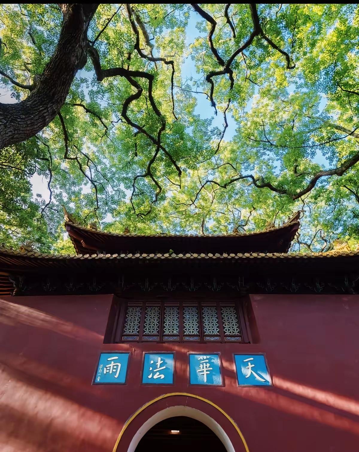 古寺禅房藏杀机！朝夕相处的师兄，竟是藏在身边的日本间谍谁能想到，清净肃穆的法