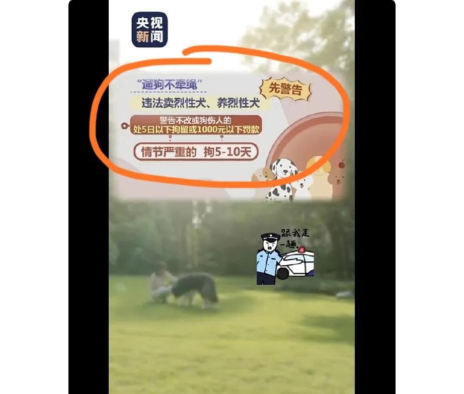 狗患终于能解决了，《国安管理处罚法》新规，遛狗不牵绳，售卖，养烈性犬第一次会先警