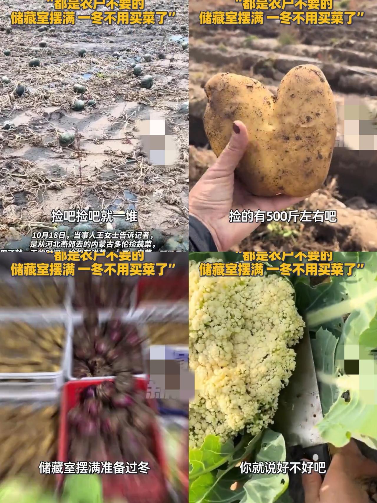 内蒙古人民这么富裕的吗？开车自驾去趟内蒙古不仅一个冬天的菜钱省了，更是菜品种