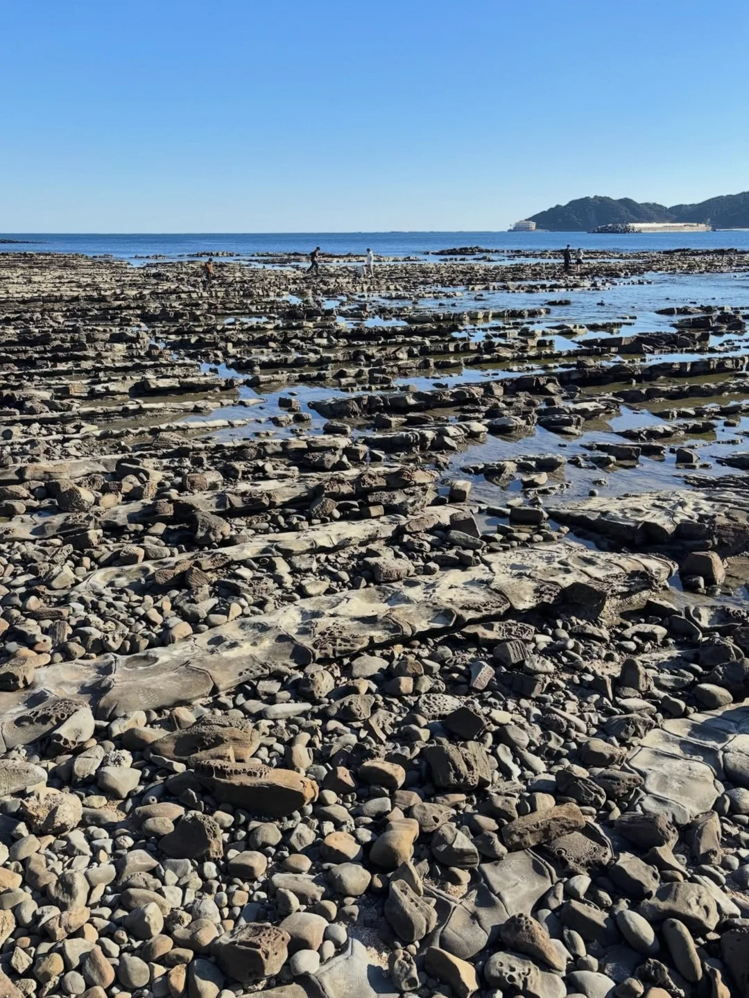 🌴去宫崎吧！被阳光偏爱的小众海岸秘境